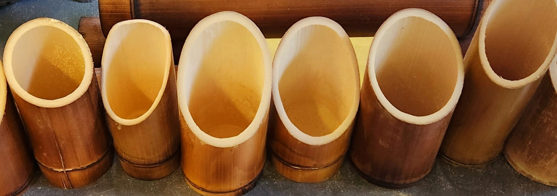 Assorted Earth Pod Bamboo Planters